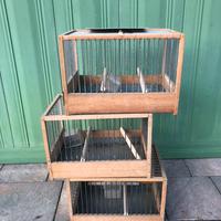 Gabbie per uccelli con sbarre inox