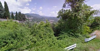 Terreno agricolo con ulivi