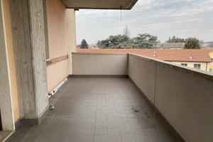 Mini in afittto zona interno viale della pace