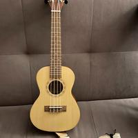 Ukulele Concerto Rayzm