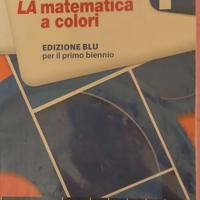 Libro matematica 1 anno liceo Copernico pasoli vr