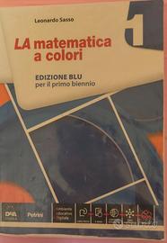 Libro matematica 1 anno liceo Copernico pasoli vr