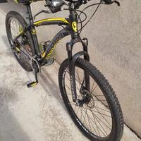 Bici mountain bike