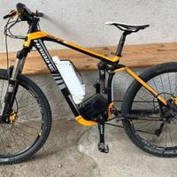 Bicicletta elettrica