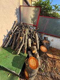 Legna da ardere - Ciliegio