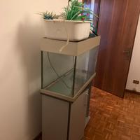 Acquario + moniletto + accessori