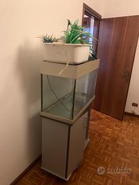 Acquario + moniletto + accessori
