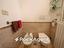 Immagine 23