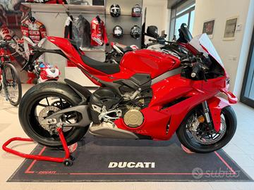 Ducati Panigale V4 BASE MY 2026 NUOVA DA IMMATRICO