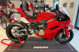 Ducati Panigale V4 BASE MY 2026 NUOVA DA IMMATRICO
