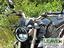 Immagine 10