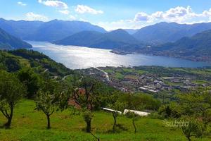 Terreno Edificabile vista Lago d'Iseo
