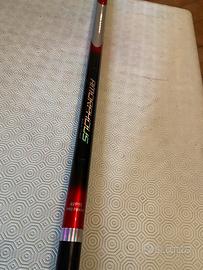 Bolognese Daiwa Amourphous ProPower AVP90-AI 9 mt