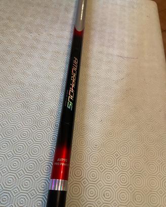 Bolognese Daiwa Amourphous ProPower AVP90-AI 9 mt