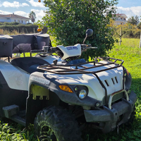 Quad tenuto benissimo