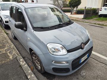 fiat Panda 2018