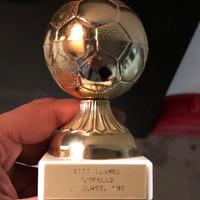 Coppa specifica calcio e Trofeo