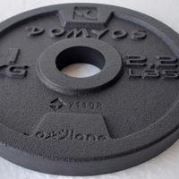 Dischi 1 2 5 10 20 kg 28 mm disco pesi palestra ok