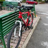 Mountain bike
