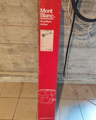 barre portatutto per auto