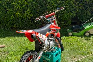 Pit bike beta 125 4T