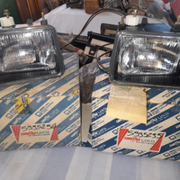 Fendinebbia carrello lancia y 10