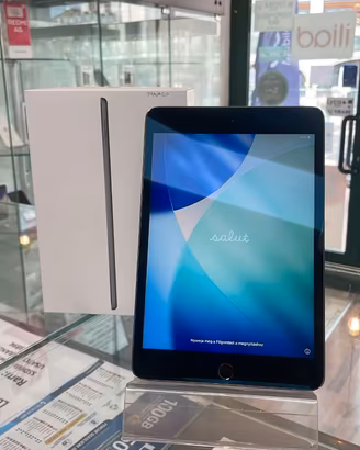 IPAD MINI 5 256GB WIFI+CELL CON GARANZIA