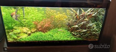 acquario vitrea completo di plafoniere led 