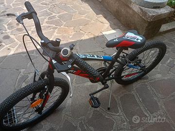 bicicletta 