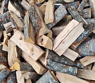 Legna da ardere secca