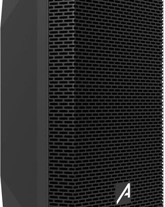 COPPIA CASSE AMPLIFICATE "AUDIBAX 8”