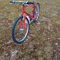STOCK DI 10 MONTAIN-BIKE + 5 BICI VARIE