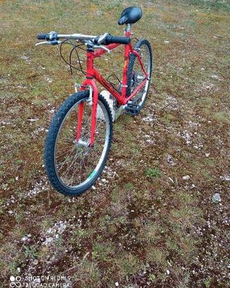 STOCK DI 10 MONTAIN-BIKE + 5 BICI VARIE