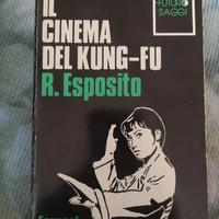 Il cinema del Kung fu