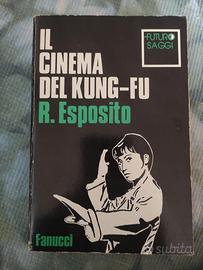 Il cinema del Kung fu