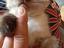 Immagine 4