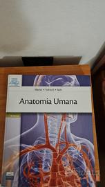 ANATOMIA UMANA