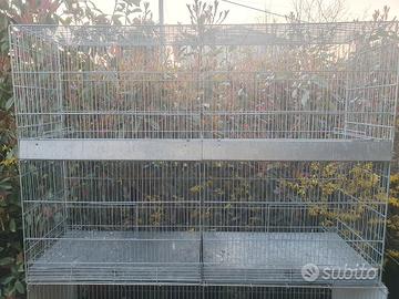 Voliere per pappagalli