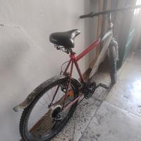 bicicletta Mountain bike 