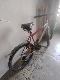 bicicletta Mountain bike 