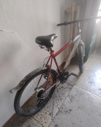 bicicletta Mountain bike 