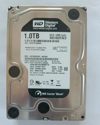Hard disk wd 1 Tb caviar black