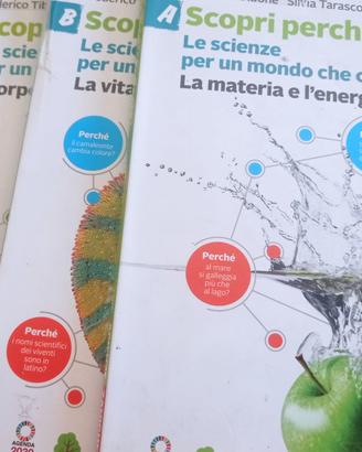 SCOPRI PERCHÉ! ABCD 9788808520227