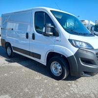 FIAT DUCATO (C54)