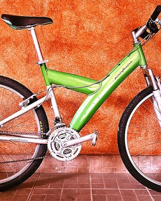 bicicletta