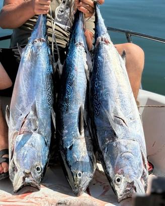 andiamo a pesca?