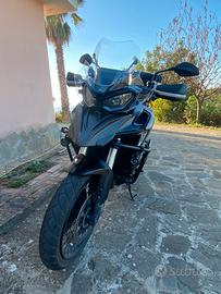 QJ Motor SRT 800 SX