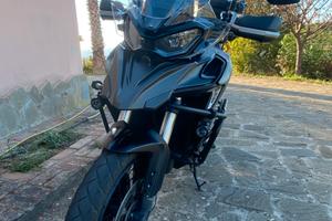 QJ Motor SRT 800 SX