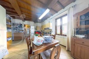 Appartamento Carrara [Nazzano 7VRG]