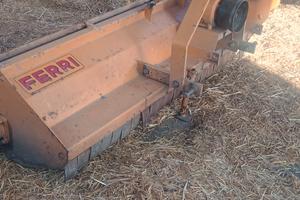 Trincia erba ferri 180